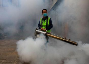 Serangan Nyamuk Mematikan Tewaskan 3000 Orang dan Ubah Kota Menjadi Kuburan