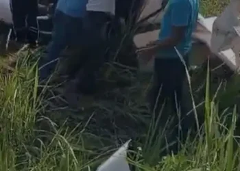 Kronologi Pesawat TNI Jatuh di Bogor, Hilang Kontak Setelah Lepas Landas 11 Menit