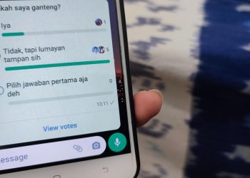 Polling di WA, Trik Cepat Agar Anggota Grup Lebih Interaktif untuk Keputusan Bersama