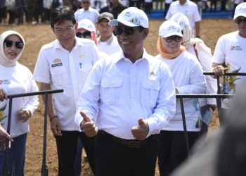 Mentan Amran dan DPD RI Lakukan Penanaman Jagung Serentak untuk Swasembada Pangan