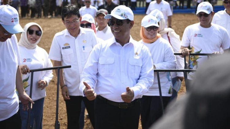 Mentan Amran dan DPD RI Lakukan Penanaman Jagung Serentak untuk Swasembada Pangan