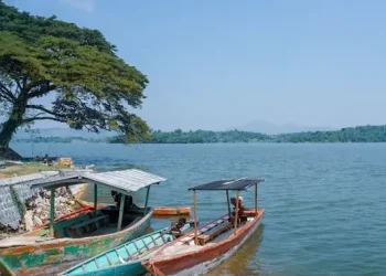 10 Tempat Mancing Terbaik 2025 di Bojonegoro dari Bendungan Hingga Rawa