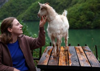 Gen Z Peternak Kambing Berusia 24 Tahun Terpilih Jadi Anggota Dewan