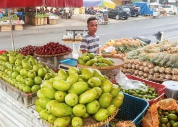 Manfaat KUR BRI untuk Kesuksesan Pedagang Nanas dalam Mengembangkan Produk Olahan