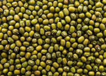 Resep Kacang Hijau dan Manfaat Kesehatannya yang Beragam