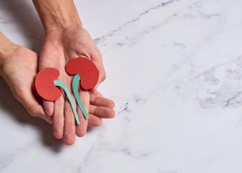 Memahami Ginjal, Fungsi, Cara Kerja, dan Menjaga Kesehatannya