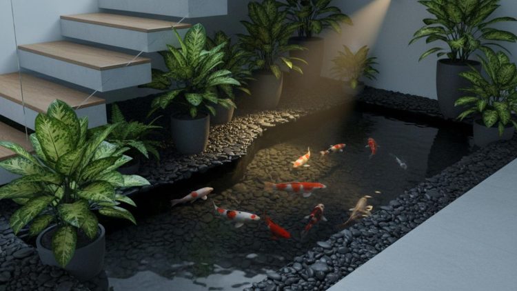 10 Desain Kolam Ikan Mini untuk Taman Sempit dan Pojokan Rumah yang Menyegarkan