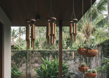 8 Desain Teras Tanaman Hias Gantung yang Aman Estetik dan Terhindar dari Ular