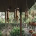 8 Desain Teras Tanaman Hias Gantung yang Aman Estetik dan Terhindar dari Ular