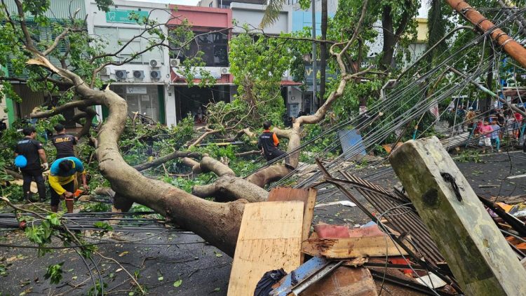 Pohon Tumbang di Tangerang Selatan Setelah Hujan dan Angin Kencang