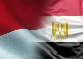 Ratusan Ribu Warga Mesir Mengagumi Presiden RI Karena Mewakili Perdamaian