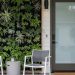 8 Desain Teras Kecil dengan Taman Vertikal untuk Rumah Minimalis yang Estetis dan Fungsional