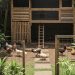 9 Ide Desain Halaman Belakang Rumah Kecil untuk Peliharaan Ayam yang Nyaman dan Aman