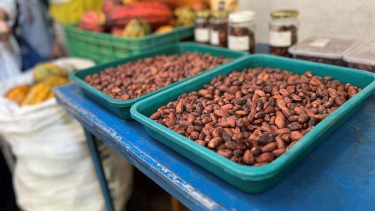 Cuaca Ekstrem Picu Krisis Rantai Pasok Global?