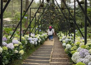 10 Destinasi Taman Bunga di Bandung untuk Liburan Akhir Tahun 2025