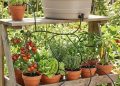 12 Ide Kebun Sayur Rumah dengan Sistem Penyiraman Otomatis Sederhana, Praktis dan Hemat Air