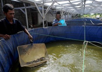 15 Peluang Usaha Sederhana yang Dibutuhkan Masyarakat Sekitar 2026
