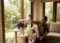 7 Cara Mengatasi Kucing yang Sering Garuk Sofa Agar Rumah Tetap Rapi