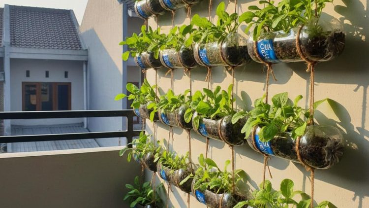 7 Cara Membuat Kebun Vertikal di Balkon Menggunakan Botol Plastik Bekas yang Mudah dan Hemat