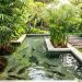 9 Model Kolam Ternak Lele dan Taman Air yang Estetik dan Populer