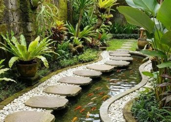 15 Ide Kolam Ikan Mini untuk Halaman Sempit yang Menarik dan Estetik
