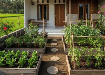 9 Desain Rumah Sederhana dengan Kebun Sayur dalam Hunian Minimalis