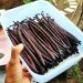 Panduan Budidaya Vanili dalam Pot yang Mudah untuk Dilakukan di Rumah