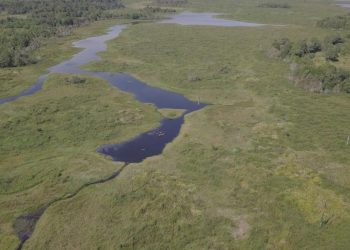 Merayakan Pengetahuan Lokal dan Melestarikan Ekosistem