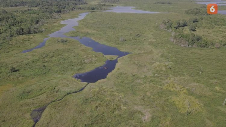 Merayakan Pengetahuan Lokal dan Melestarikan Ekosistem
