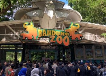 Kemenhut Cabut Izin YMT dan Ambil Alih Perawatan Satwa Kebun Binatang di Bandung