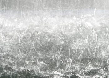 Prakiraan Cuaca Jakarta Hari Ini Hujan di Jaksel dan Jakbar Pagi hingga Malam